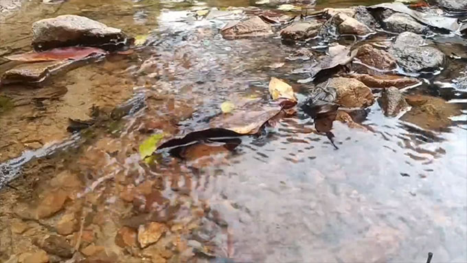 10-Hour Stream White Noise - Steady Water Sounds for Sleep and Meditation