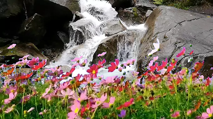 10 Hours Gentle Waterfall Sounds | Water Flowing Over Mossy Rocks | Natural White Noise for Sleep, Focus & Relaxation
