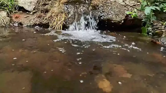 10-Hour Clear Stream White Noise - Water Flow and Bird Chirps for Sleep and Focus